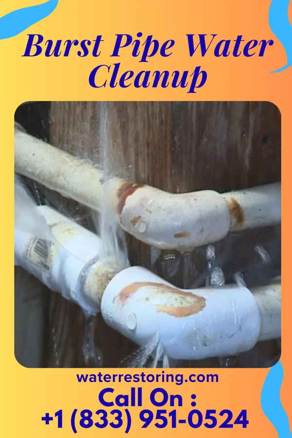 Burst Pipe Water Cleanup in Coldwater, MS