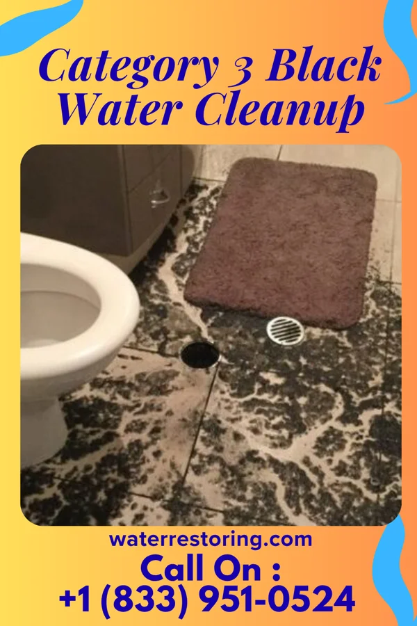 Category 3 Black Water Cleanup in Coldwater, MS